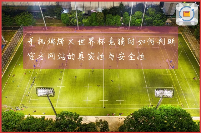 手机端烽火世界杯竞猜时如何判断官方网站的真实性与安全性