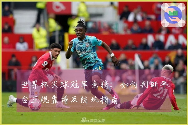 世界杯买球冠军竞猜：如何判断平台正规靠谱及防坑指南